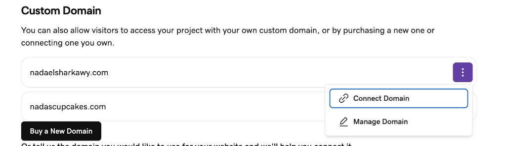 A connected custom domain with options to connect or manage it.